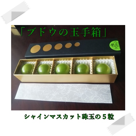 珠玉の1粒(箱入り)｜豊か農園通販ショップ